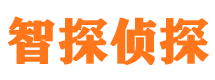 赛罕市私家侦探